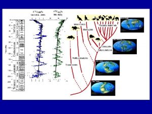 THEN CAME HUMANS The evolution of speech Humans