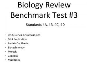 Biology Review Benchmark Test 3 Standards 4 A
