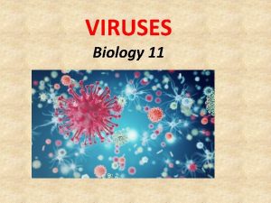 VIRUSES Biology 11 Small Pox Measles Chicken Pox