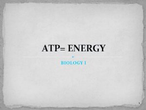 ATP ENERGY BIOLOGY I 1 ATP ATP Adenosine