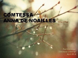 COMTESSA ANNA DE NOAILLES Zoa Glasmeyer Literatura Universal