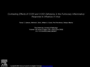 Contrasting Effects of CCR 5 and CCR 2