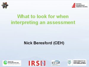 What to look for when interpreting an assessment