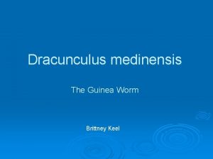 Dracunculus medinensis The Guinea Worm Brittney Keel Review