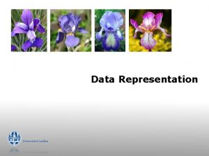 Data Representation The popular table g Table relation