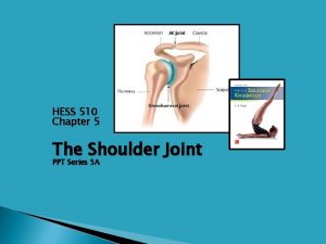 HESS 510 Chapter 5 The Shoulder Joint PPT