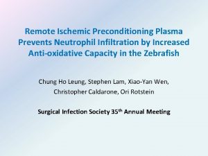 Remote Ischemic Preconditioning Plasma Prevents Neutrophil Infiltration by