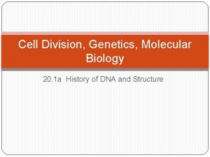 Cell Division Genetics Molecular Biology 20 1 a