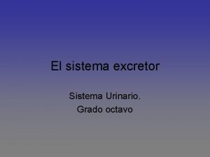 El sistema excretor Sistema Urinario Grado octavo APRENDIZAJES