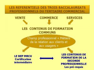 LES REFERENTIELS DES TROIS BACCALAUREATS PROFESSIONNELS DU TERTIAIRE