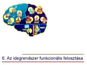 6 Az idegrendszer funkcionlis felosztsa Tartalomjegyzk 6 1