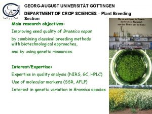 GEORGAUGUST UNIVERSITT GTTINGEN DEPARTMENT OF CROP SCIENCES Plant