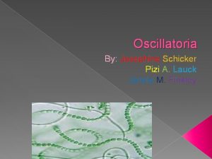 Oscillatoria By Josephine Schicker Pizi A Lauck Jancia