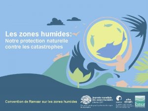 Les zones humides Notre protection naturelle contre les