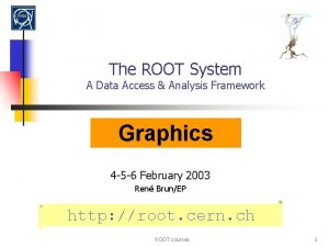 The ROOT System A Data Access Analysis Framework