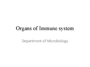 Organs of Immune system Department of Microbiology Organs
