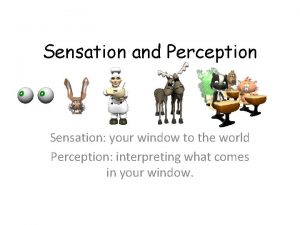 Sensation and Perception Sensation your window to the