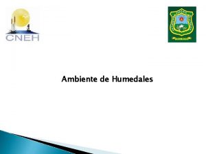 Ambiente de Humedales Temario de la Presentacin Formacin