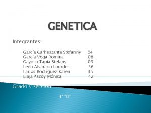 GENETICA Integrantes Garca Carhuatanta Stefanny Garca Vega Romina