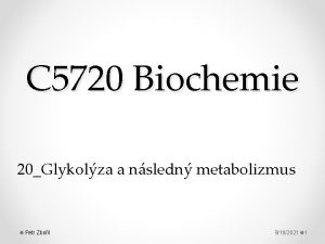 C 5720 Biochemie 20Glykolza a nsledn metabolizmus Petr