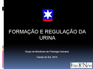 FORMAO E REGULAO DA URINA Grupo de Monitores