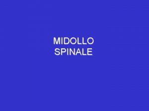 MIDOLLO SPINALE CONFIGURAZIONE ESTERNA del MIDOLLO SPINALE Midollo