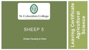 Sheep Housing Wool Leaving Certificate Agricultural Science SHEEP