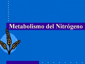 Metabolismo del Nitrgeno Pools de N en la