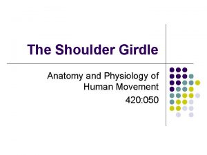 The Shoulder Girdle Anatomy and Physiology of Human