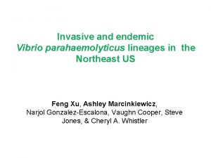 Invasive and endemic Vibrio parahaemolyticus lineages in the