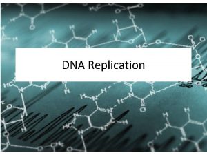 DNA Replication Watson and Crick Base pairing in