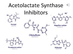 Acetolactate Synthase Inhibitors Acetolactate Synthase Inhibitors IMI Imidazolinones