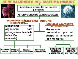 Agresiones producidas por agentes patgenos ALTERACIONES DE LA