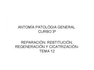 ANTOMA PATOLGIA GENERAL CURSO 3 REPARACIN RESTITUCIN REGENERACIN