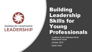 Building Leadership Skills for Young Professionals Coalition for