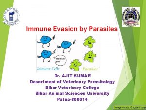 Immune Evasion by Parasites Dr AJIT KUMAR Department