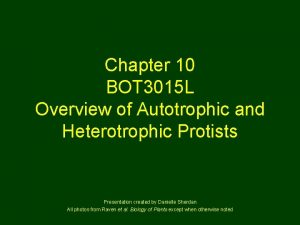 Chapter 10 BOT 3015 L Overview of Autotrophic