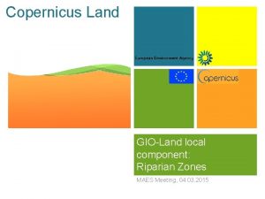 Copernicus Land GIOLand local component Riparian Zones MAES