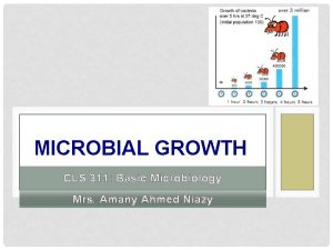 MICROBIAL GROWTH CLS 311 Basic Microbiology Mrs Amany