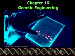 Chapter 16 Genetic Engineering Essential Components of Genetic