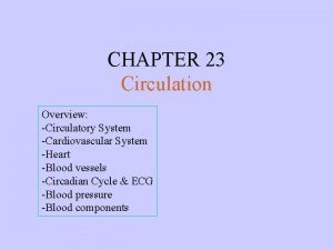 CHAPTER 23 Circulation Overview Circulatory System Cardiovascular System
