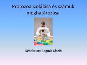 Protozoa izollsa s szmuk meghatrozsa Ksztette Bognr Lszl