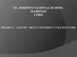 ST JOSEPHS NATIONAL SCHOOL MARDYKE CORK PROJECT A