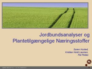 Jordbundsanalyser og Plantetilgngelige Nringsstoffer Sren Husted Kristian Holst