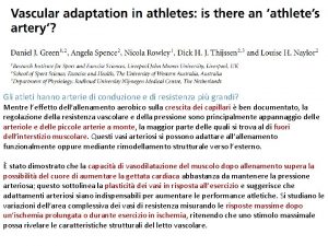 Gli atleti hanno arterie di conduzione e di