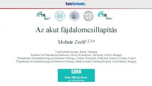 Az akut fjdalomcsillapts Molnr Zsolt 1 2 3