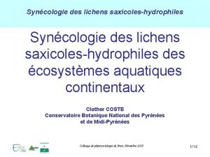 Syncologie des lichens saxicoleshydrophiles des cosystmes aquatiques continentaux