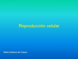 Reproduccin celular Marta Gutirrez del Campo El ciclo