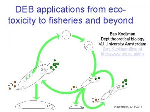 DEB applications from ecotoxicity to fisheries and beyond