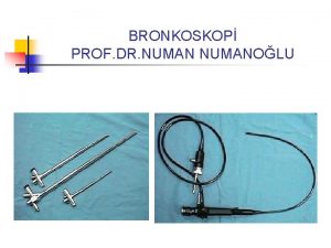 BRONKOSKOP PROF DR NUMANOLU Baarl bronkoskopi iin En